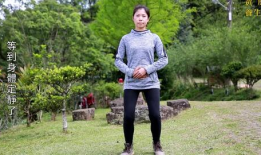 站桩视频,轻松掌握养生桩功秘诀